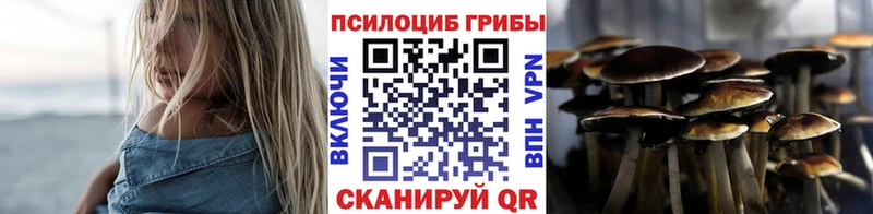 маркетплейс как зайти Кореновск Псилоцибиновые грибы Cubensis